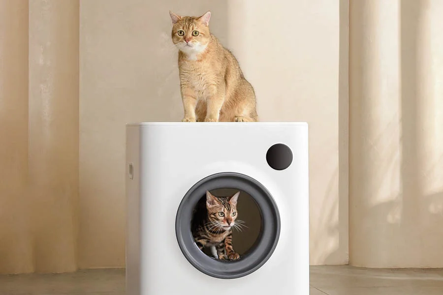 best litter boxes for large cats